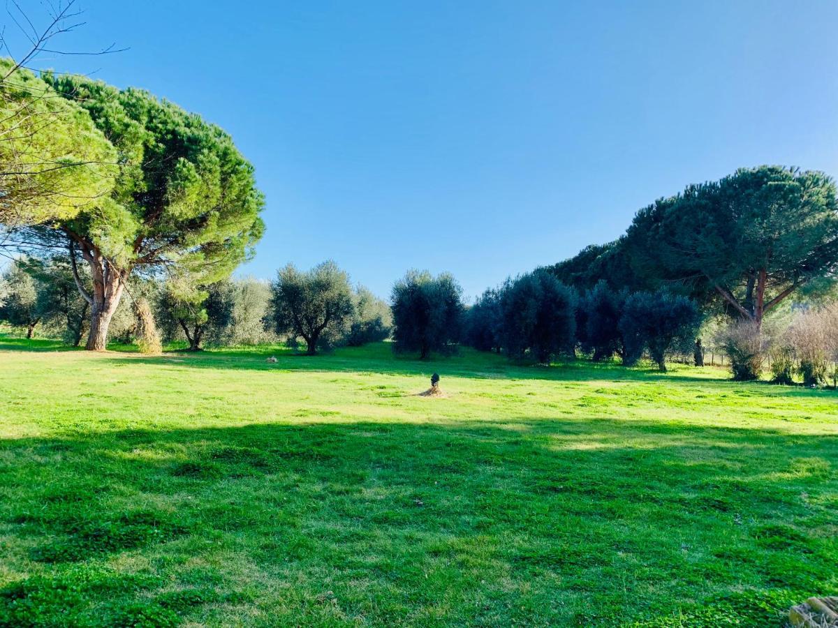 Il Borghetto Di Ansedoniaアパートメント エクステリア 写真