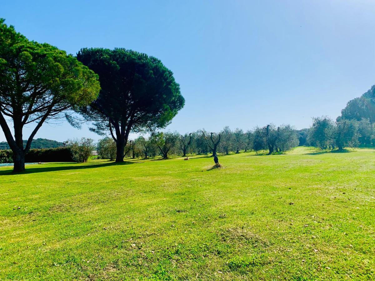 Il Borghetto Di Ansedoniaアパートメント エクステリア 写真