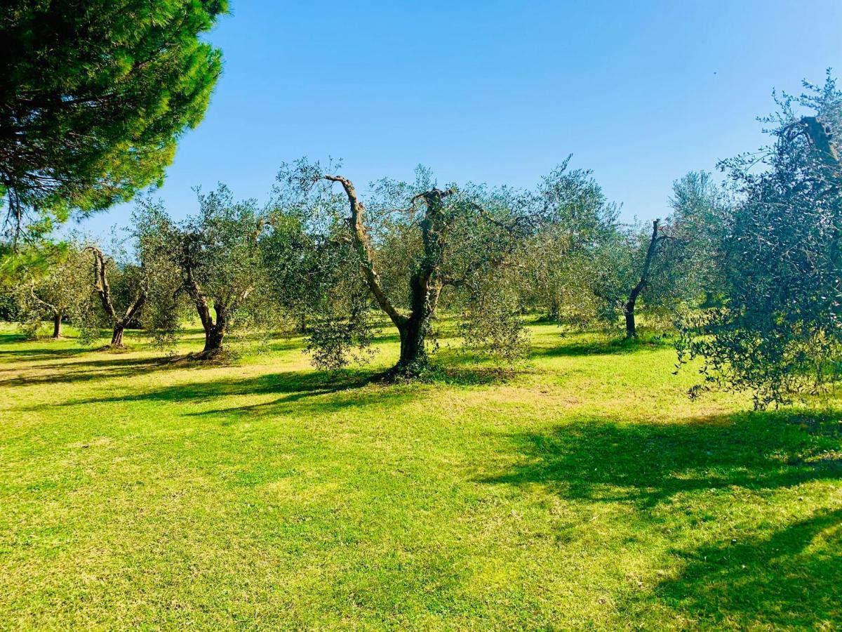Il Borghetto Di Ansedoniaアパートメント エクステリア 写真