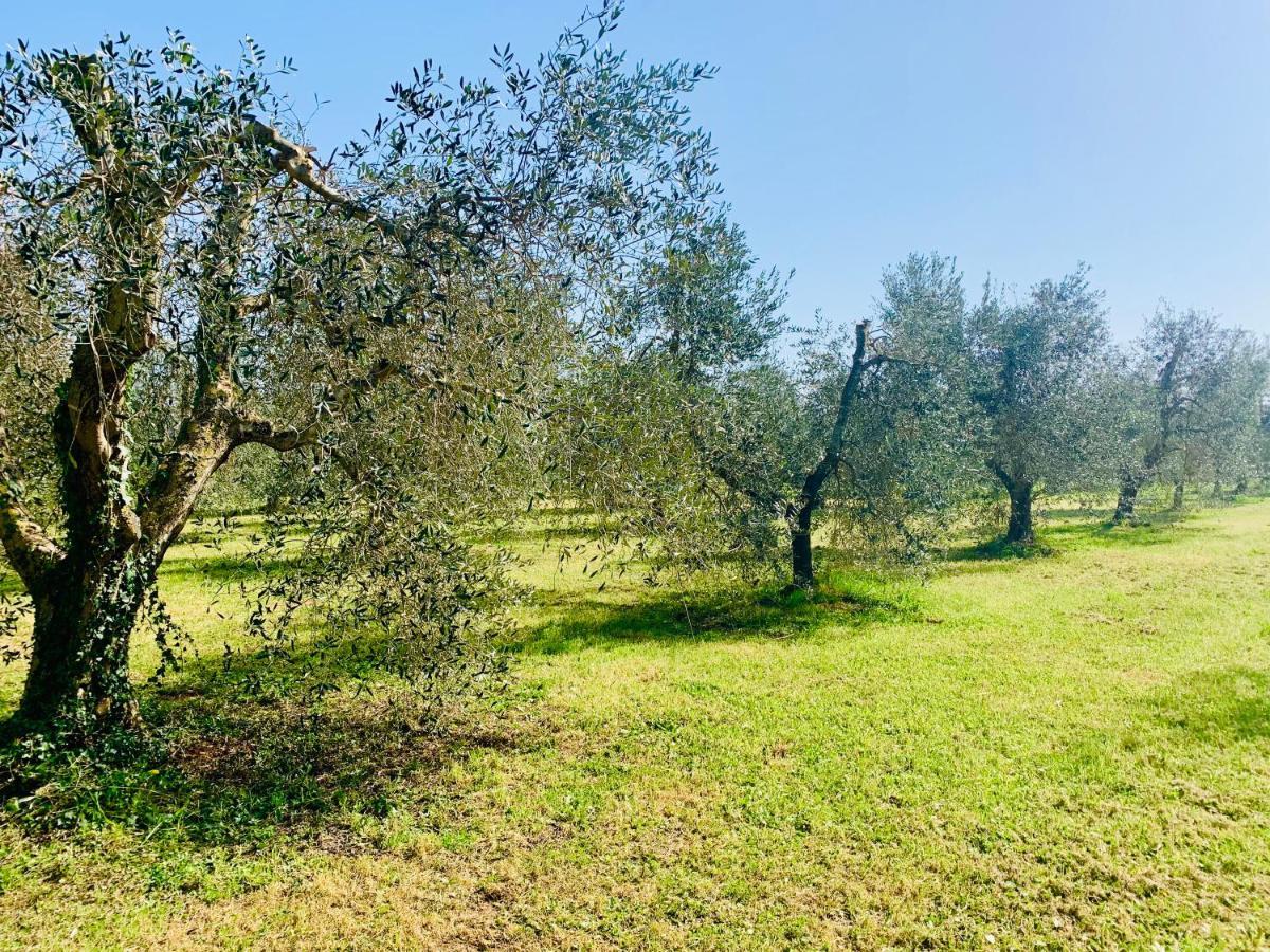 Il Borghetto Di Ansedoniaアパートメント エクステリア 写真