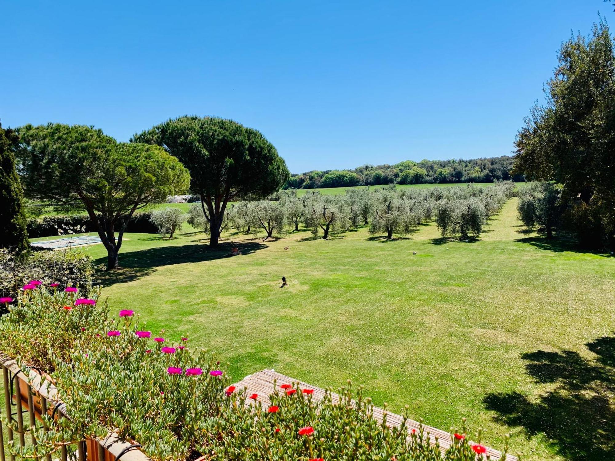 Il Borghetto Di Ansedoniaアパートメント エクステリア 写真