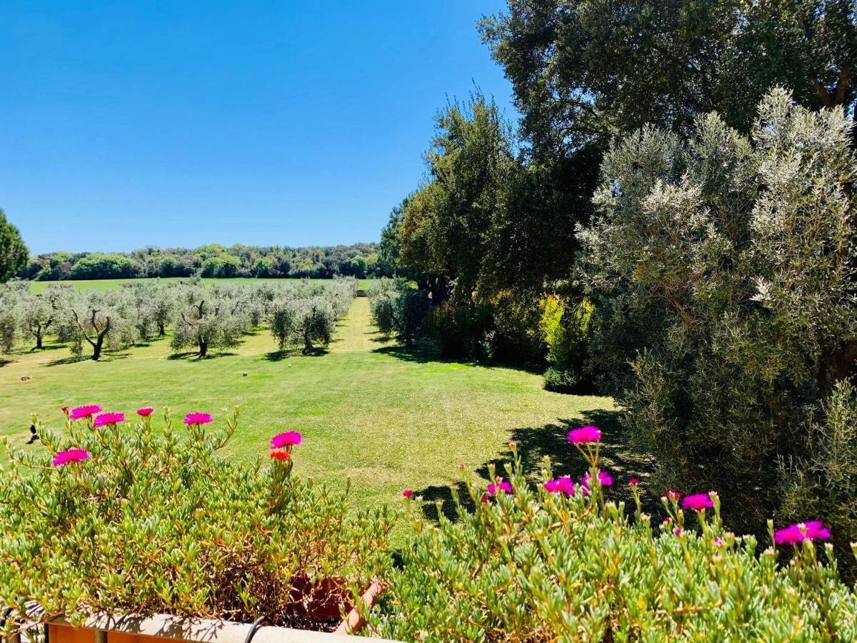 Il Borghetto Di Ansedoniaアパートメント エクステリア 写真