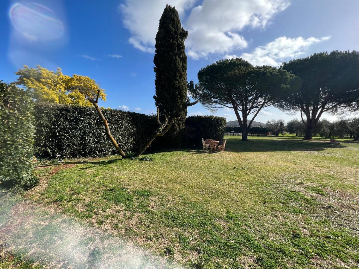 Il Borghetto Di Ansedoniaアパートメント エクステリア 写真