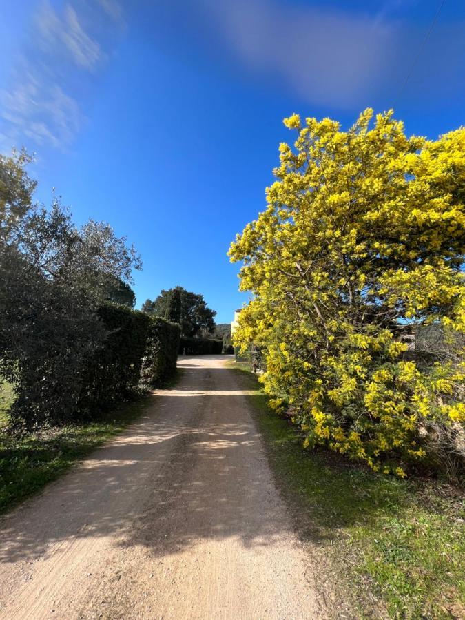 Il Borghetto Di Ansedoniaアパートメント エクステリア 写真