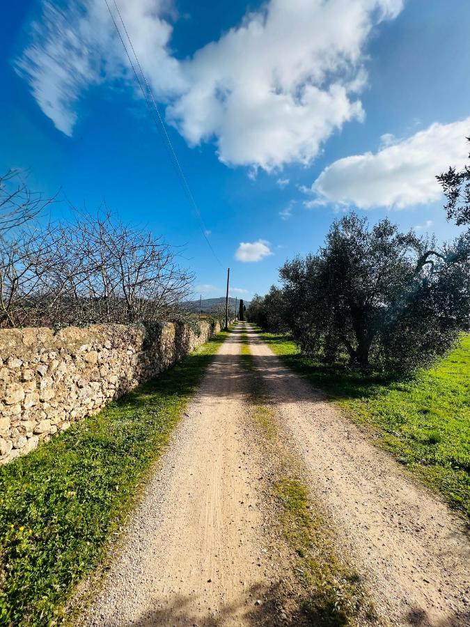 Il Borghetto Di Ansedoniaアパートメント エクステリア 写真