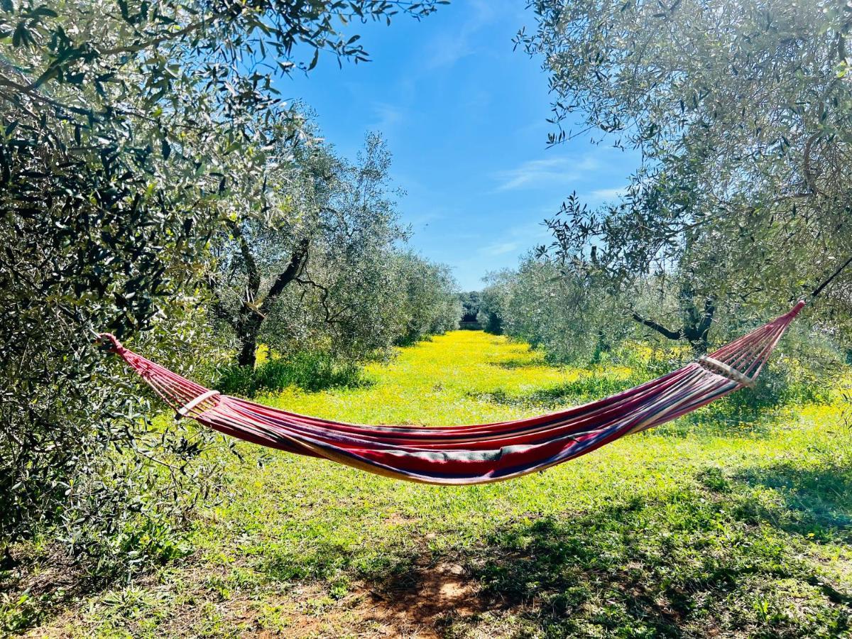 Il Borghetto Di Ansedoniaアパートメント エクステリア 写真